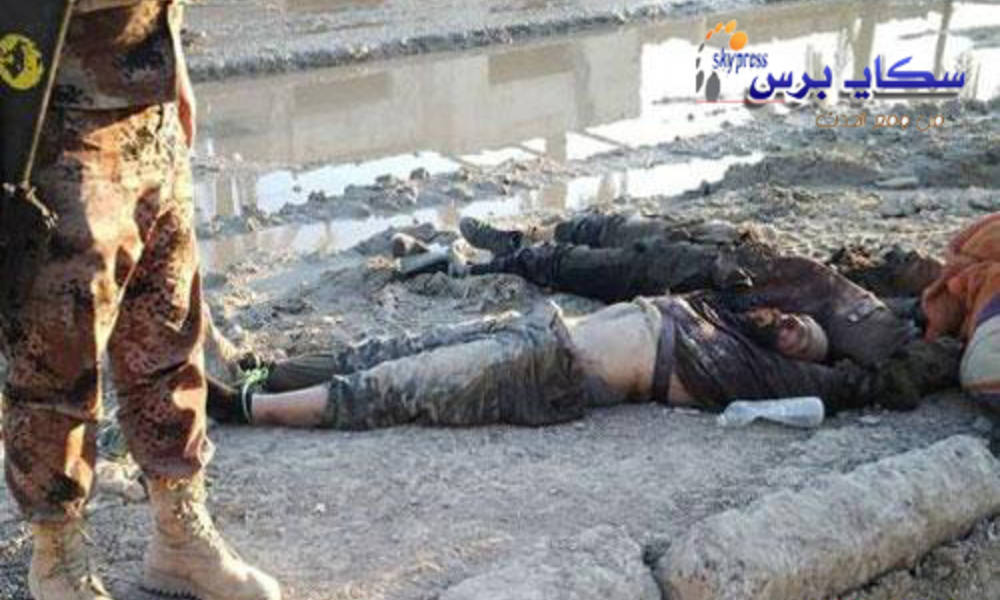 مقتل تسعة دواعش بقصف جوي شرق الفلوجة