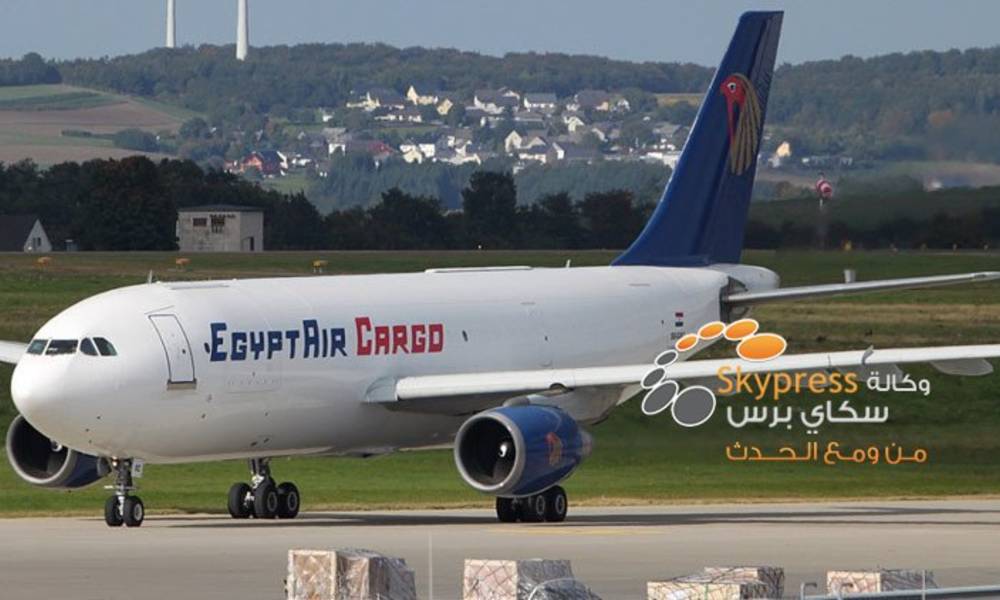 مصر: عودة حركة الطيران بين القاهرة وموسكو للبضائع والشحن