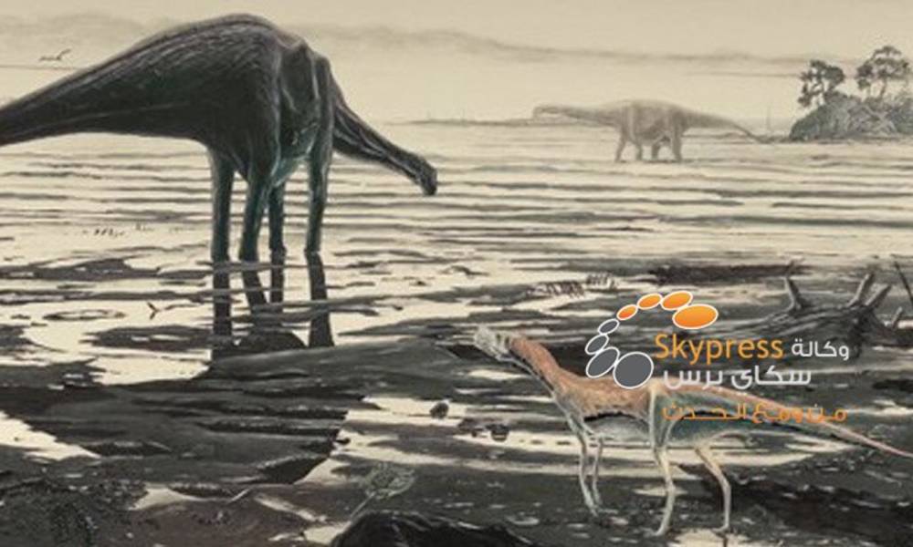 مئات من آثار خطى الديناصورات تكتشف في اسكوتلاندا