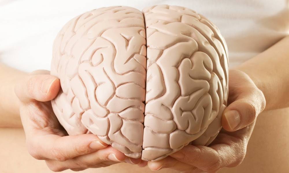 الدماغ البشري يصاب بالشيخوخة بعد سن الـ 25