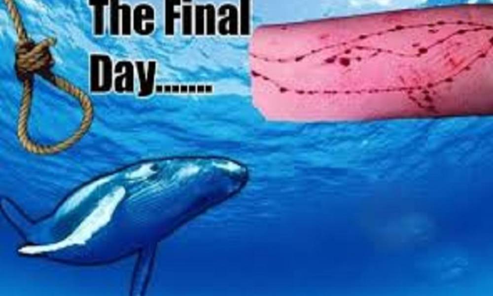 "الحوت الازرق" تجبر احد مدمنيها على الانتحار .. ودار الافتاء يحرمها