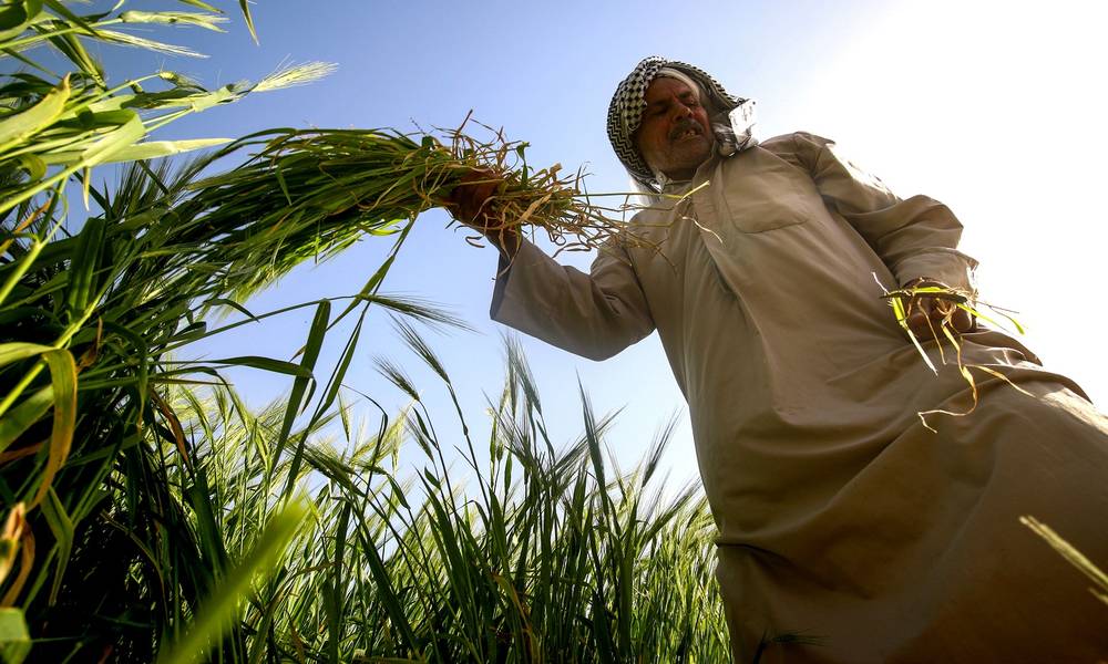 بالوثيقة: رئاسة الوزراء تؤجل استيفاء الديون المترتبة في ذمة الفلاحين في عموم محافظات العراق دون فوائد