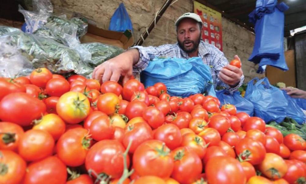 منع استيرادها مستمر .. الطماطم العراقية تسجل اعلى معدل انتاج منذ عام 2003