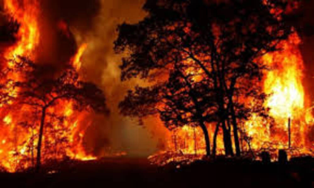 استمرار حرائق الغابات في كاليفورنيا وأوريغون