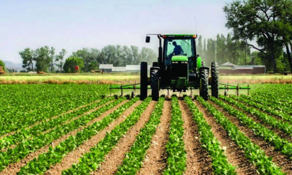 وزارة الزراعة .. خطة لزيادة الأراضي المزروعة