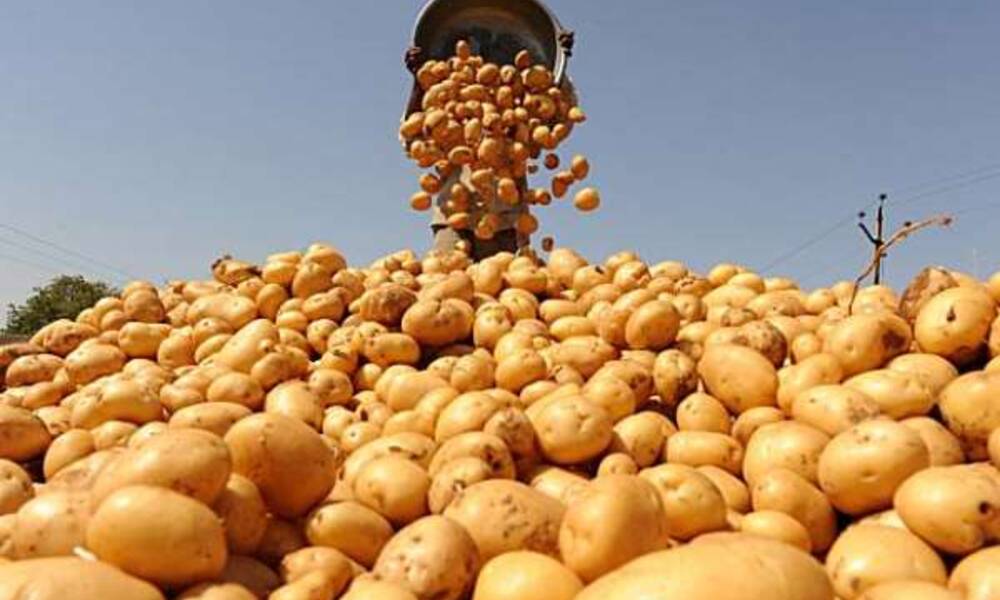 إيران تستأنف تصدير محصول  البطاطا إلى العراق