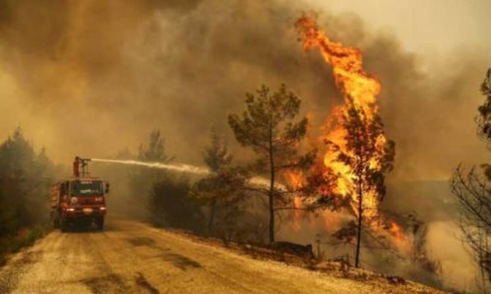 جماعة " ابناء النار " تعلن مسؤوليتها عن حرائق الغابات في تركيا