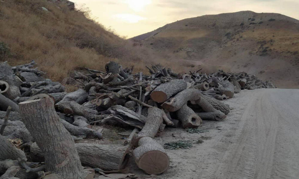 جرائم عناصر الجيش التركي بــ قطع وحرق الاشجار في محافظة دهوك
