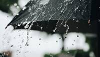 أمطار رعدية غدا الجمعة