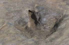 عالم متحجرات ألماني يكتشف آثار أقدام ديناصورات