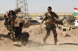 المالية الكردستانية 756 ملیار دینار صرفت على الحرب ضد داعش