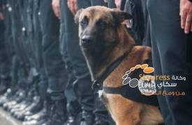 مقتل كلبة شرطة تدعى "ديزل" في عملية المداهمة بضاحية سان دوني