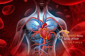 علماء: السرطان يؤثر سلبا في عضلة القلب