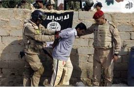 القبض على داعشي ينتمي لـ"ولاية الجنوب" شمال شرقي الحلة
