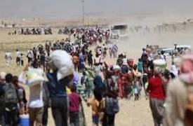 الهجرة والمهجرين تعيد 2982 نازحاً عراقياً من سوريا