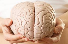 الدماغ البشري يصاب بالشيخوخة بعد سن الـ 25