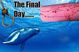 "الحوت الازرق" تجبر احد مدمنيها على الانتحار .. ودار الافتاء يحرمها