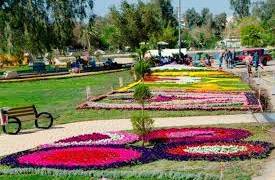 الزهور في عيدها العاشر غدا .. بالعاصمة "بغداد"