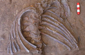 اكتشاف هام في العراق يثير جدلا حول طقوس الدفن قديماً ..