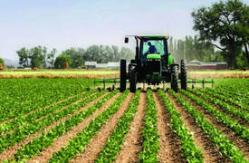 وزارة الزراعة .. خطة لزيادة الأراضي المزروعة