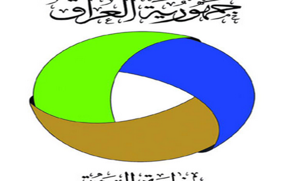 شاهد بالفيديو . . امرأة يلفها سلم كهربائي وتموت بمشهد قاسي جدا