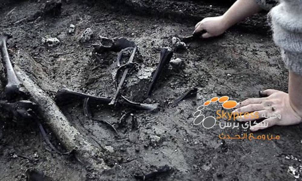 العثور على اثار قرابين بشرية بمقبرة قديمة في الدنمارك