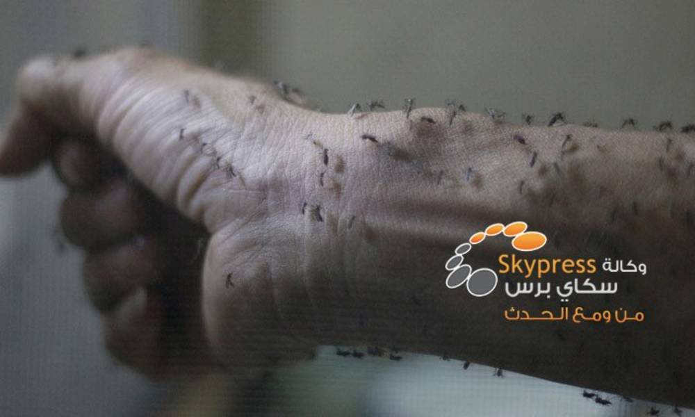 حمى "زيكا" قد تصبح وباء شاملا
