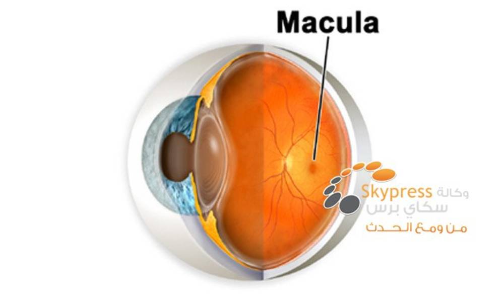 "الاستاتينات" تقي الإنسان من العمى