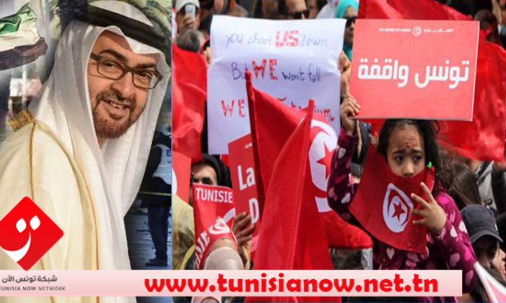 تقرير فرنسي يكشف تورط الإمارات بانقلاب في تونس
