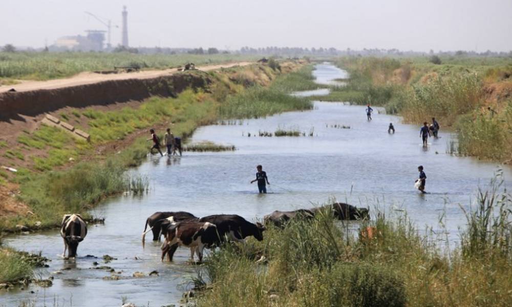 مدن الجنوب على مشارف "هجرة جماعية" .. الفاو تمر بــ"أسوأ" ظروفها