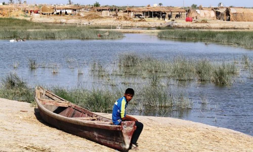 فيديو .. هور الحويزة .. على مشارف "كارثة" طبيعية