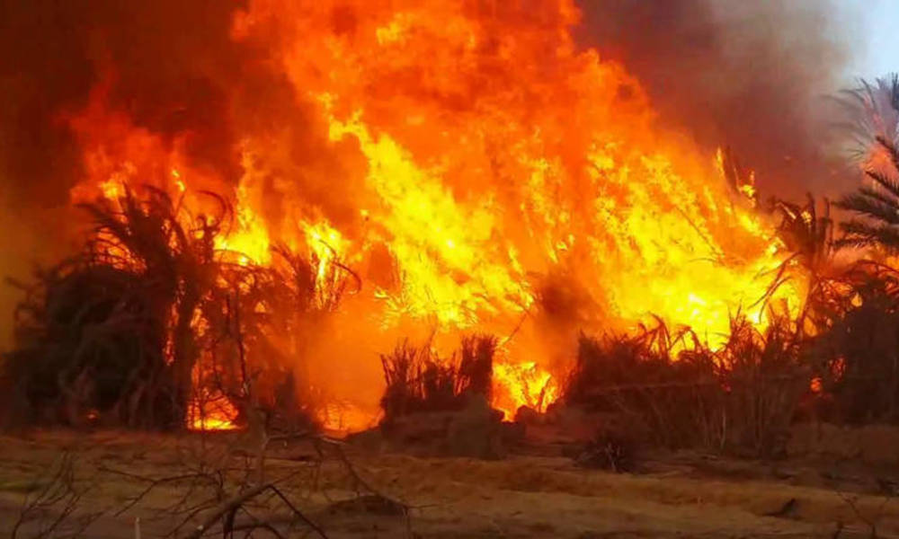 بالصور: حريق يلتهم 100 دونم من الشعير قرب مدينة أربيل