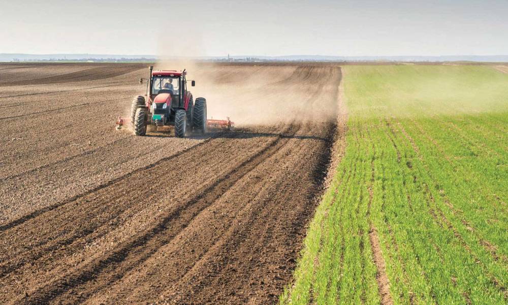 احدى ايجابيات "كورونا" هي تحقيق الاكتفاء الوطني بالمحاصيل الزراعية بالاضافة الى الاستعداد للتصدير