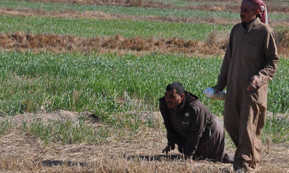 "كــارثة" سوداء تحيط بالعراق .. لكن هذه المرة بخروجها من "باطن الارض" ومهاجمتها والتهامها لـكل ما حولها !