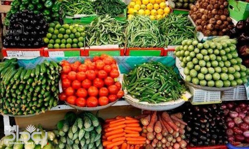 وزارة الزراعة تمنع 21 محصول زراعي وحيواني من الاستيراد