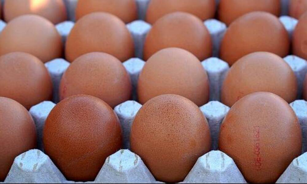 وزارة الزراعة ..تتخذ إجراءات جديدة لدعم السوق بـــ بيض المائدة