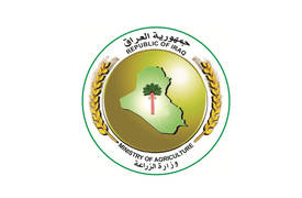 الزراعة تعزو سبب صعود اسعار بعض الخضار الى ارتفاع درجات الحرارة
