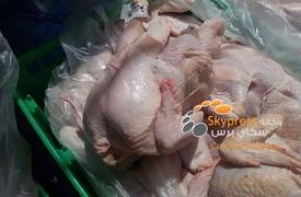 ضبط شاحنة محملة بـ 20 طناً من الدجاج الفاسد في بعقوبة