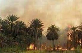 صور من داخل طوزخرماتو