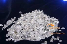 الماس بقيمة 10 ملايين دولار في كومة من القمامة عن طريق الخطأ !