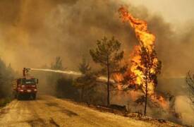 جماعة " ابناء النار " تعلن مسؤوليتها عن حرائق الغابات في تركيا