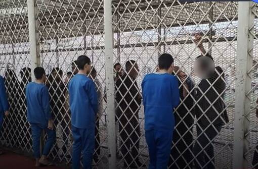 وزارة العدل تعلن:  195 حدثا غادروا سجون العراق بالعفو حتى الان